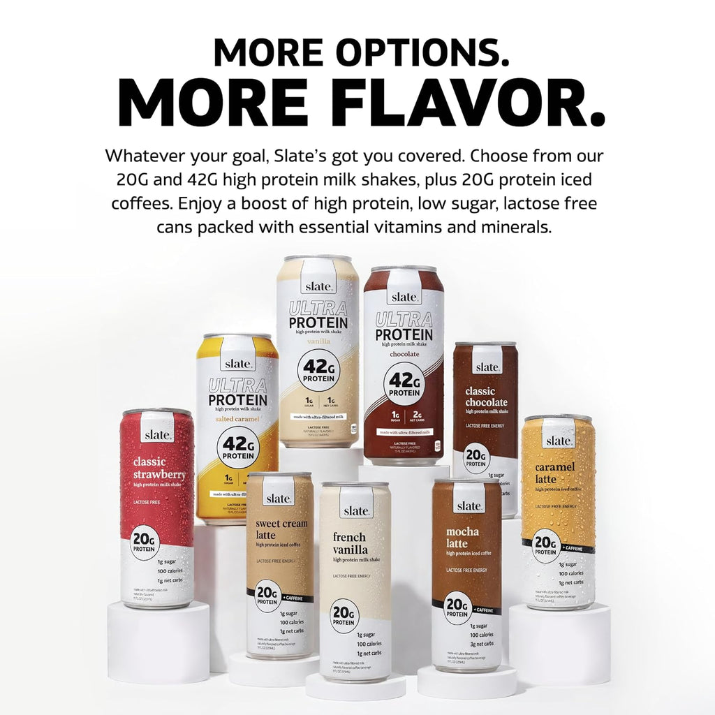 Slate Milk Dark Chocolate 20g High Protein Milk Shake (12 Cans)